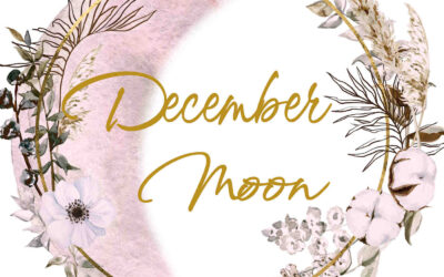 Pakenham Logo Design for December Moon